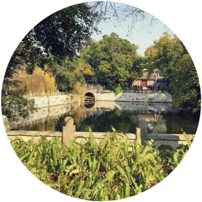 红月传闻bt版下载
