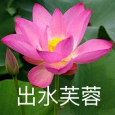 始皇传奇游戏